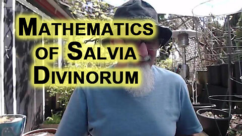One Day I Will Do a Workshop on Mathematics of Salvia Divinorum