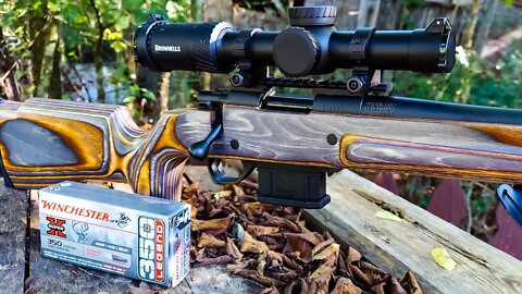 Howa 350 Legend - First Shots and Sighting In