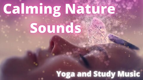 Calming Nature Sounds and Ambient Music for Yoga, Meditation and Study.