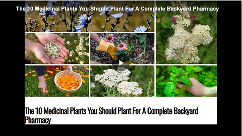 10 medicinal plants you should plant for a complete backyard pharmacy.