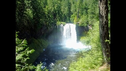 Travel Adventure Oregon - Discover Hidden Gems in the Enchanted Forests