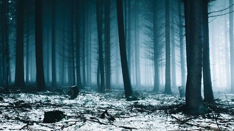 Spooky Instrumental Winter Music – Bleak Winter Forest