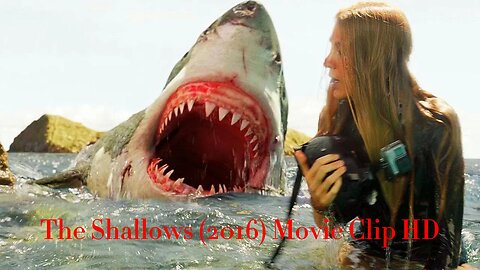 Great White Shark Attack - '32 Seconds' - The Shallows (2016) Movie Clip HD