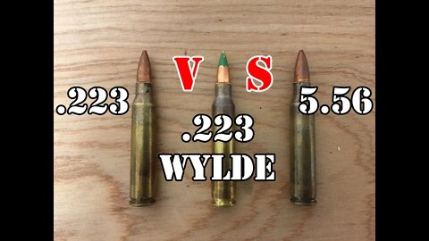 5.56 vs .223 Wylde vs .223... Head to Head