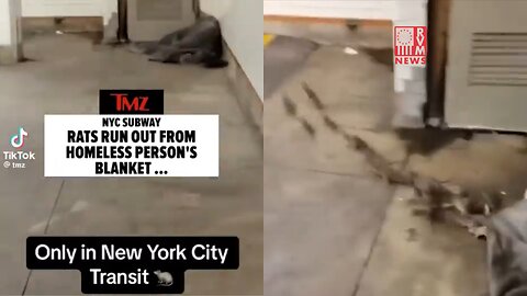 INSANE Footage Of New York City's Rat Infested Subway