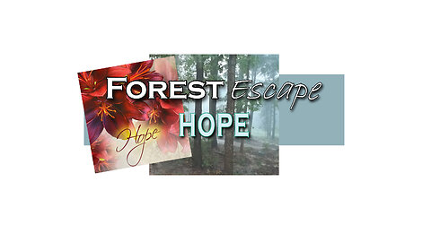 Forest Escape Finding Hope