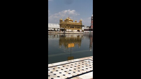 Golden temple Amritsar #goldentemple#amritsar#god#shorts #god#car#cat#hollewood#movie#reel#view#foll