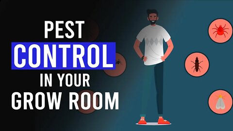 Pest Control in your Cannabis Grow Room!