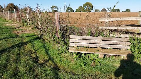 Bench With a View - Tire Hill Spinney