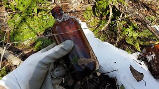 Metal Detecting - Reed Manor Dump