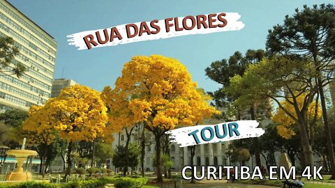 Curitiba | Caminhando pela Rua das Flores | Walking Tour Brazil