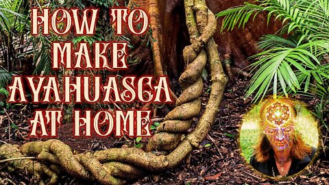 How to Make Ayahuasca (Super Easy!)