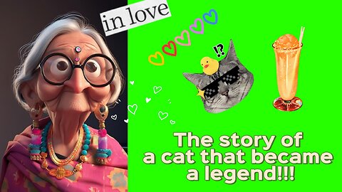 The story of a cat that became a legend!!!
