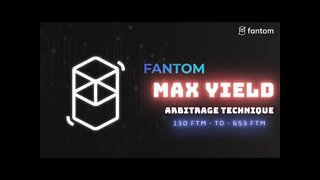 FTM - Fantom Opera Chain: How to setup a Multi DEX arbitrage in Solidity and Metamask.