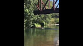 Women lets random stranger throw her child off bridge