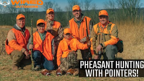 Pheasant Hunting with Pointers!
