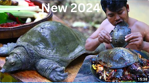 2024 Graphic Soft Shell Turtle Clean Cooking soft Shell Turtle Tasty Food in Asian Culture Recipe