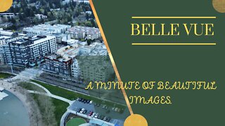 Arte com Drone in Bellevue.