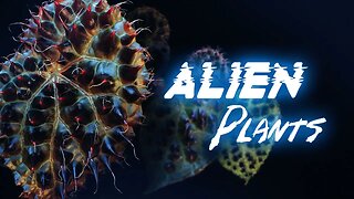 Otherworldly Houseplants 2023! | Alien Plants