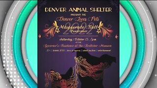 Masquerade Ball // Denver Animal Shelter