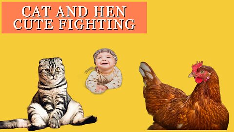 Animal Fighting Animal World