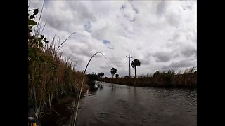 Florida 2020 March - More Florida Snook on the Fly