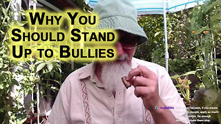 Why You Should Stand Up to Bullies: For Humanity, Apply As Much Pain As Possible, Advice