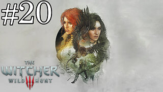 The Witcher 3: Wild Hunt - Parte 20: Rostos Familiares e Encontros Inesperados