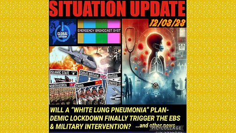 SITUATION UPDATE 12/3/23 - Another Plandemic?, Scott Ritter On Israeli Ceasefire, Gcr/Judy Byington