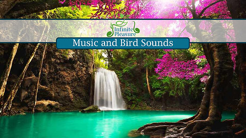 Tranquility of the Forest with Instrumental Music and Bird Sounds