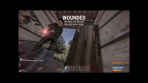 All THE PAIN in one video - RUST