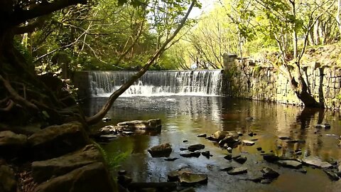 Horseshoe Falls