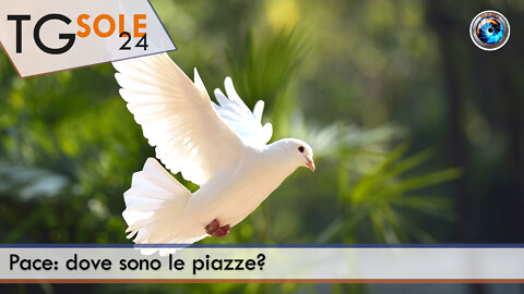 TgSole24 - 4 ottobre 2022 - Pace: dove sono le piazze?