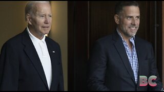 IRS agent alleges Hunter Biden probe is being mishandled