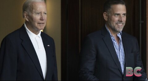IRS agent alleges Hunter Biden probe is being mishandled