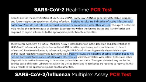 The Great Reset of Influenza and PCR-Testing Gary Tyme period test delta