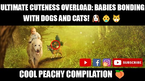 Ultimate Cuteness Overload: Babies Bonding with Dogs and Cats! 🐶👶🐱 | Cool Peachy Compilation 🍑