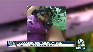 Educating the public about bees after dog attacked