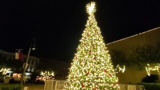 GALVESTON DOWNTOWN CHRISTMAS 🎄 TREE