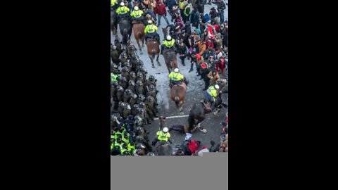 Ottawa Police on Horseback Charge Through Peaceful Protesters