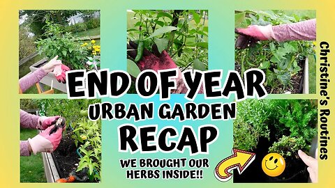 Our Urban Garden Year End Recap and Showing the Creative Way We are Keeping our Herbs Going!
