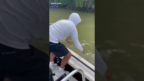 Shark Drags Man of boat Florida Everglades