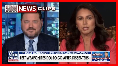 Tulsi Gabbard Warns Elites Are Trying to Use Power to ‘Silence’ Americans - 4308