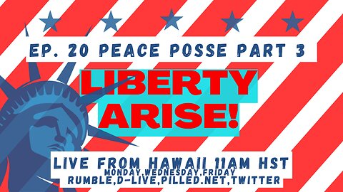 Ep. 20 Hawaii's Notice for a Forensic Audit of Election: Peace Posse 3