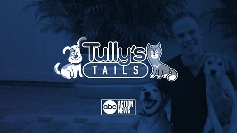 Tully's Tails: Book chronicles couples' decades of rescuing animals