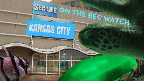 BEC Watch Entries: #19 Sea Life Kansas City