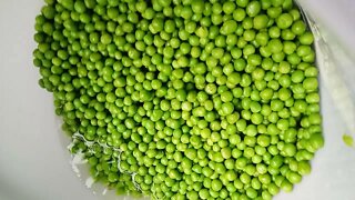 Feeding peas, an older video, June 2020