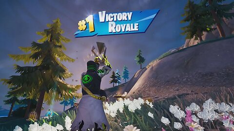 🔹🔷 Solo Victory Royale 05 (1174 Total) Chapter 4 Season 3 REBEL TRACE Skin 🔷🔹