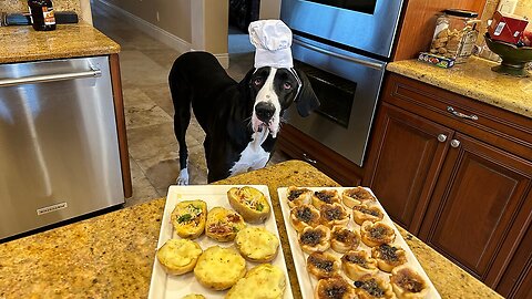 Great Dane loves to sample delicious comfort food