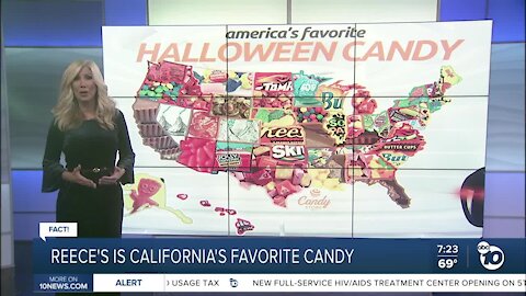 Fact or Fiction: Popular Halloween candy?